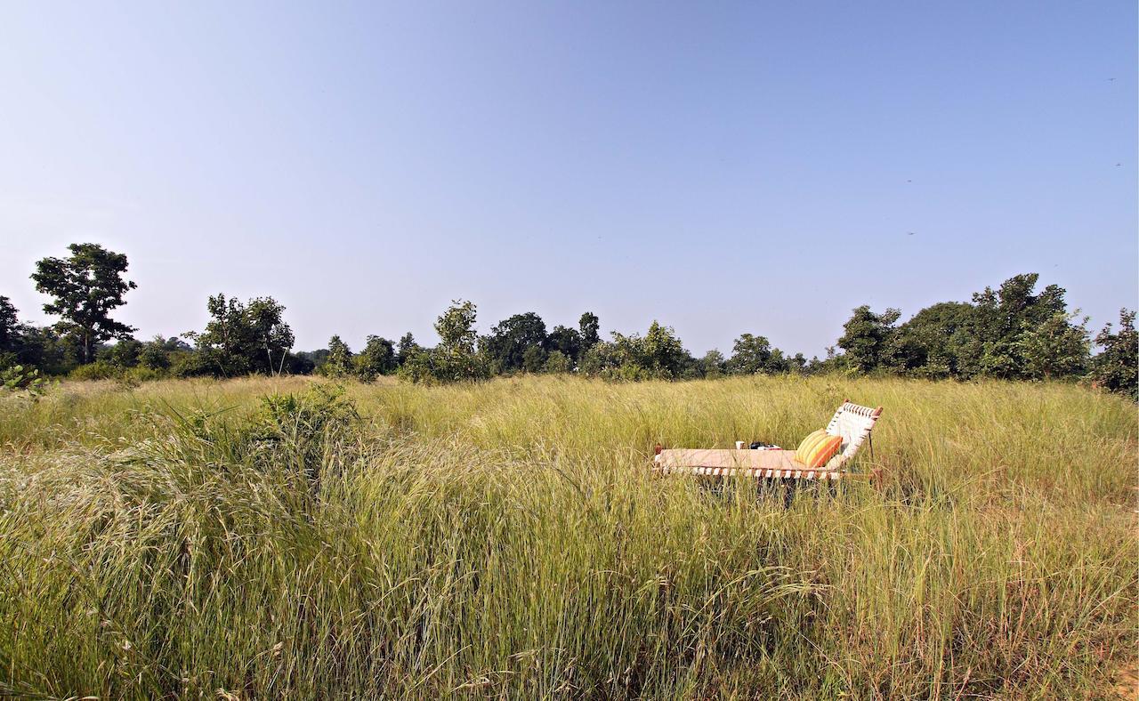 Samode Safari Lodge Parāsi Exterior foto